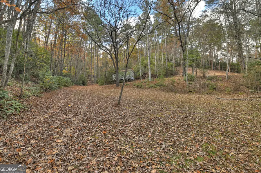 23 ACRES Weaver Creek Road, Blue Ridge, GA 30513 - #3