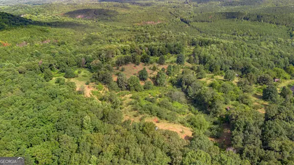 5967 County Road 19 #LOT 2, Heflin, AL 36264