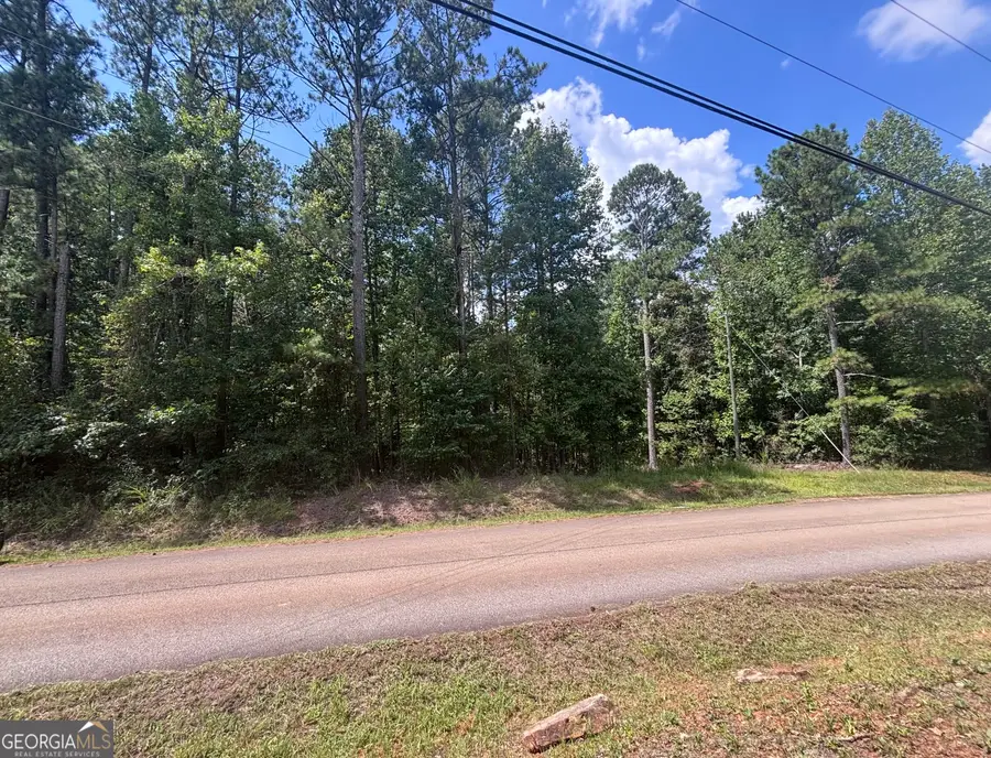 679 Freedom Drive, Martin, GA 30557 - #2