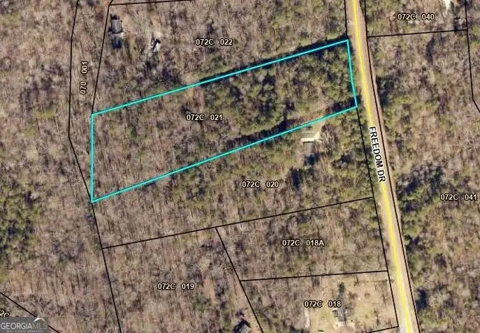 679 Freedom Drive, Martin, GA 30557 - #3
