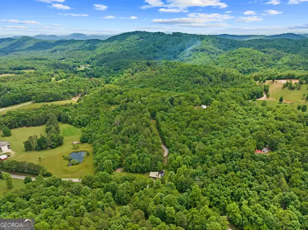 177 - A Shangri La Drive, Mineral Bluff, GA 30559