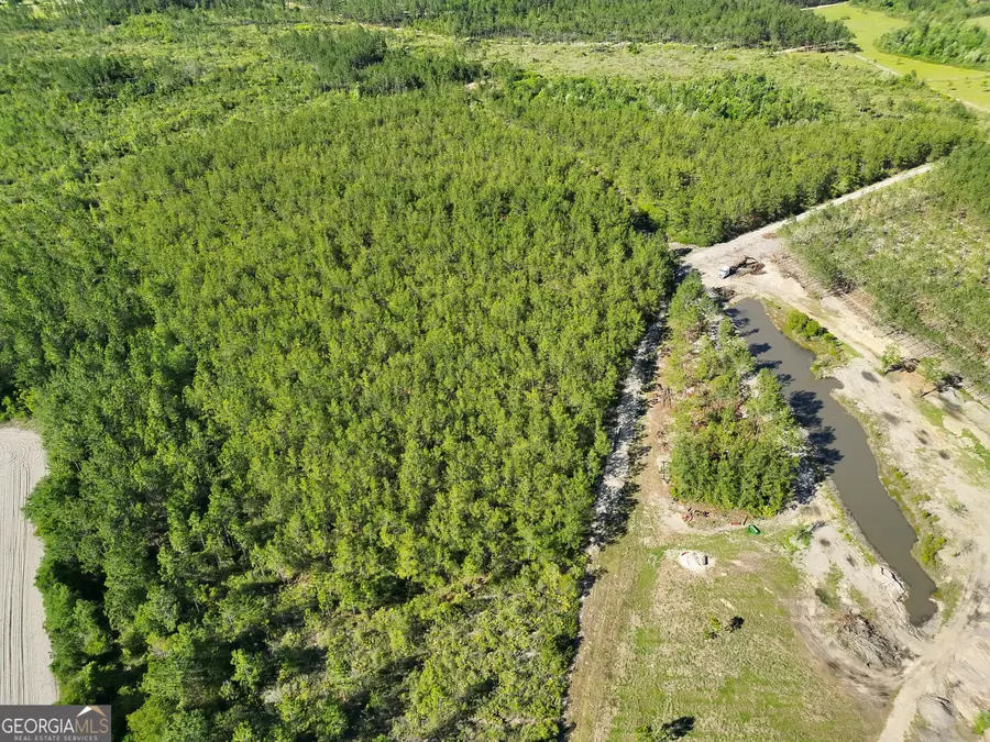 23.68 ACRES Quick Draw Road, Waycross, GA 31503 - #3