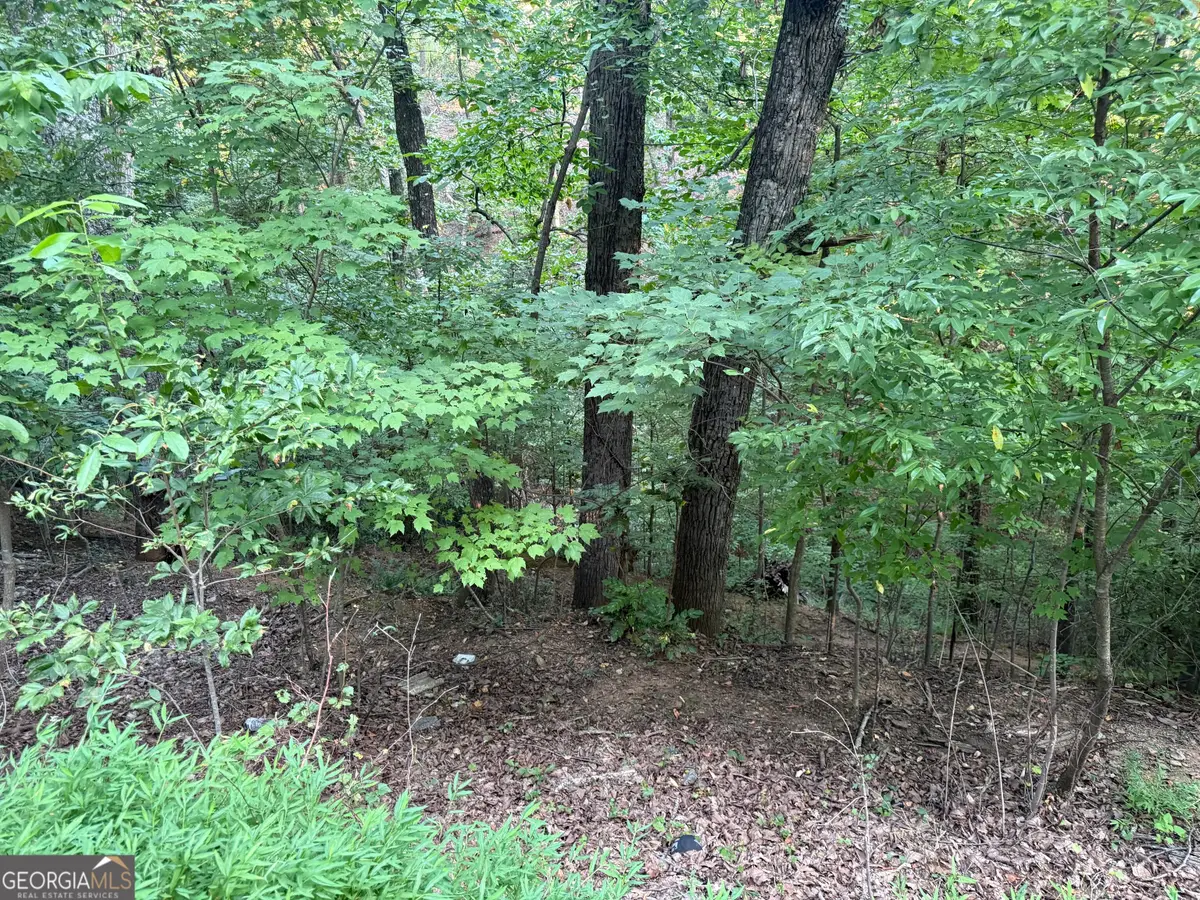 2333 Ford White Road, Gainesville, GA 30506 - #1