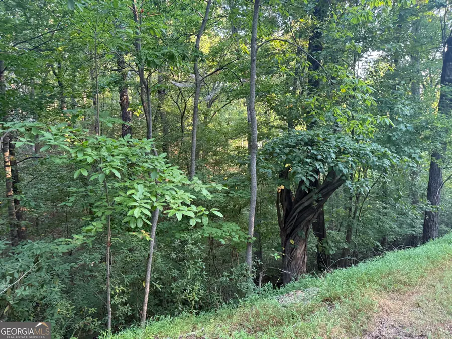 2333 Ford White Road, Gainesville, GA 30506 - #2