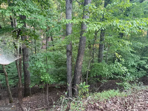 2329 Ford White Road, Gainesville, GA 30506