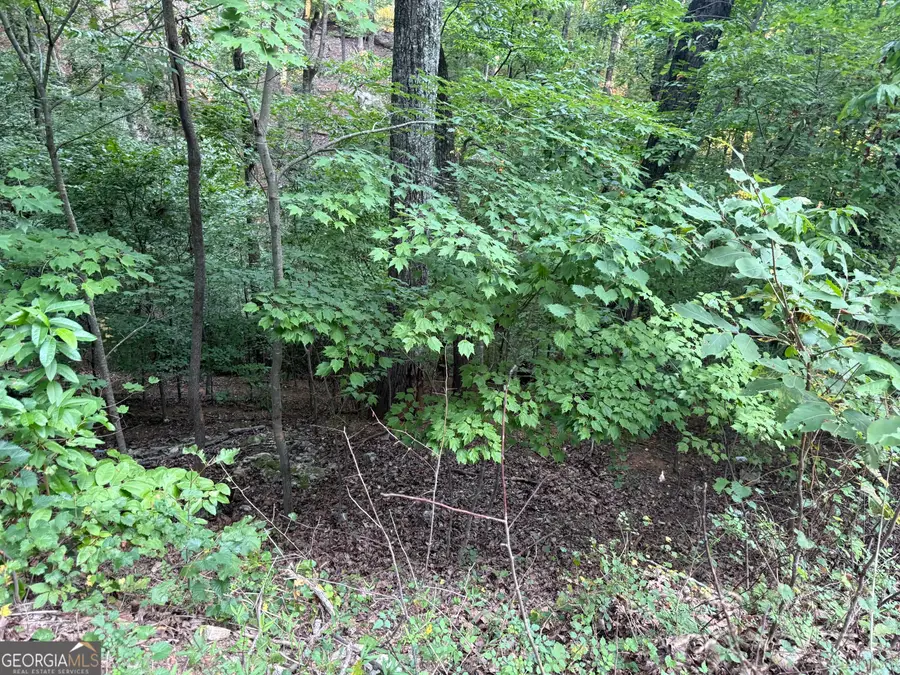 2329 Ford White Road, Gainesville, GA 30506 - #2