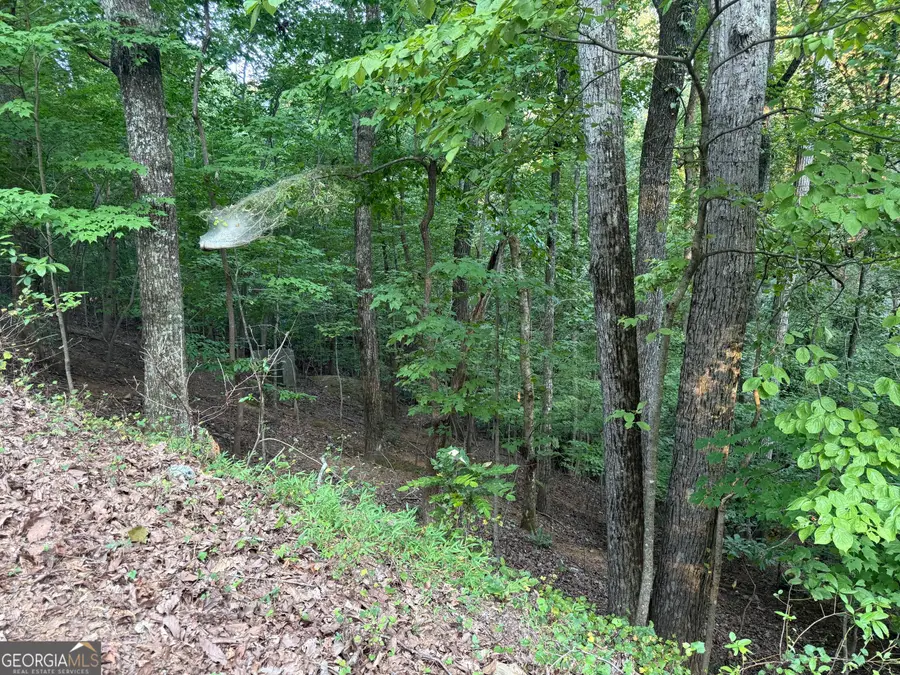 2329 Ford White Road, Gainesville, GA 30506 - #3
