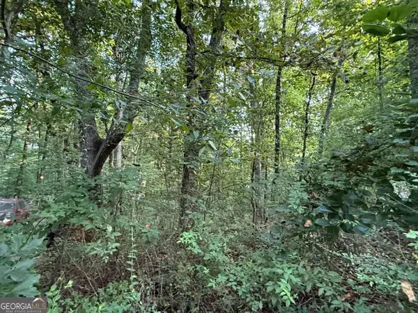 2726 Vaughandale Circle, Gainesville, GA 30506