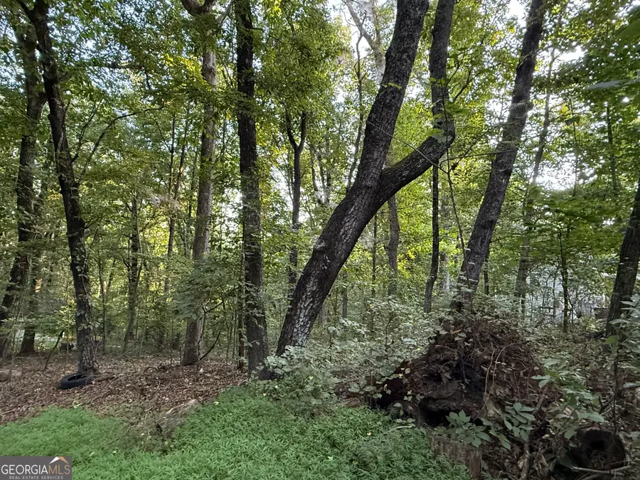 2726 Vaughandale Circle, Gainesville, GA 30506 - #3