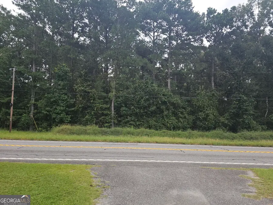 4311 Abbeville Hwy, Eastman, GA 31023 - #2