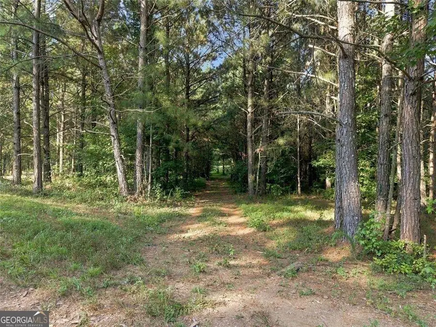 283 Leo Taylor Lane, Ball Ground, GA 30107 - #3