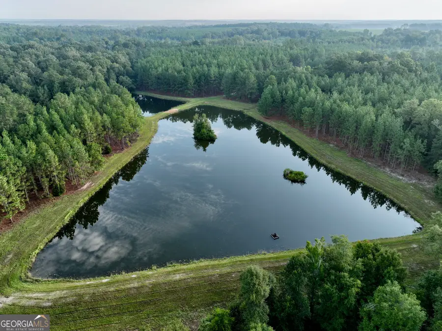 652 L A Peterson Road, Rhine, GA 31077 - #2