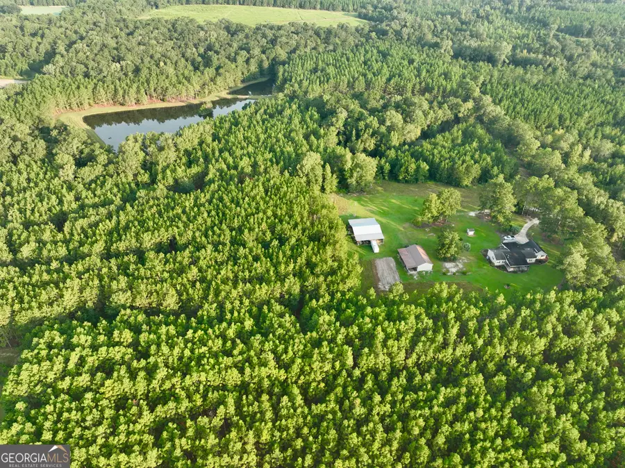652 L A Peterson Road, Rhine, GA 31077 - #3