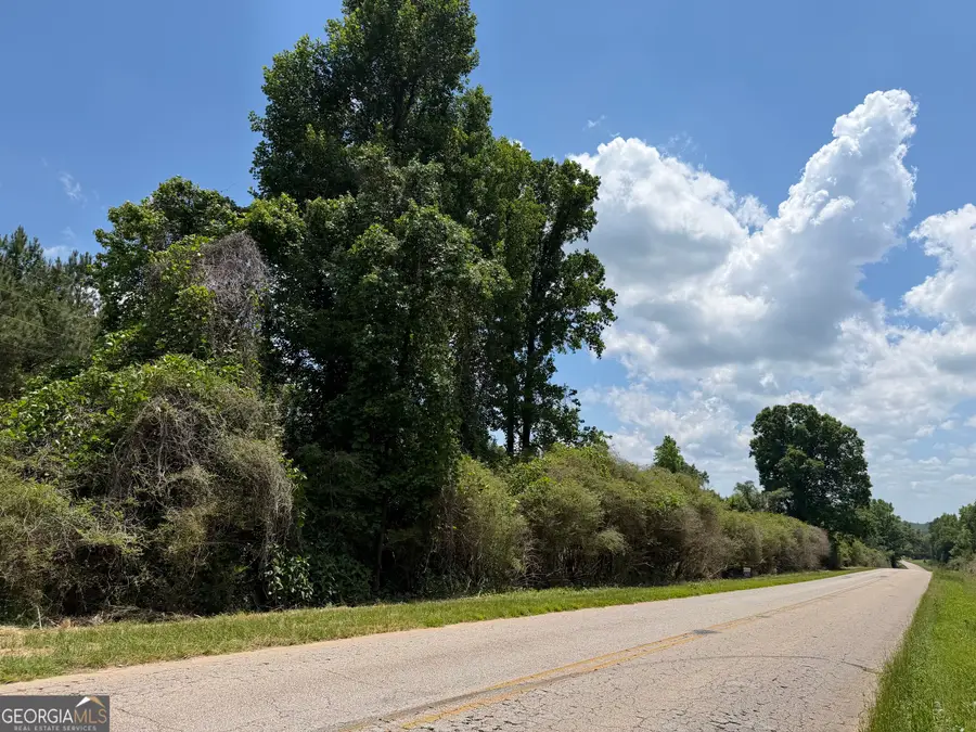 0 County Road 87 #4, Roanoke, AL 36274 - #2