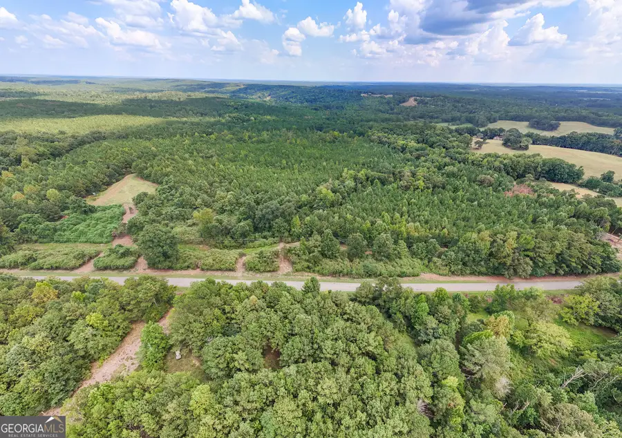 0 County Road 87 #6, Roanoke, AL 36274 - #3