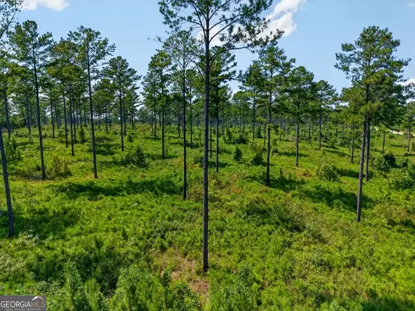0 Hwy 30 #TRACT A, Buena Vista, GA 31803