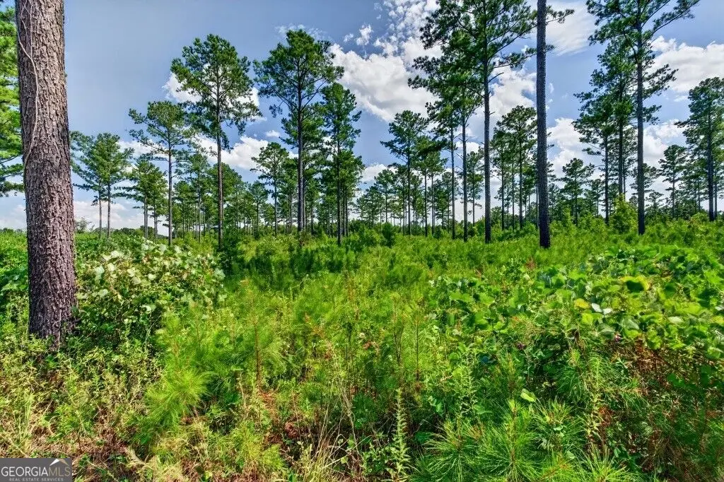 0 Hwy 30 #TRACT C, Buena Vista, GA 31803 - #1