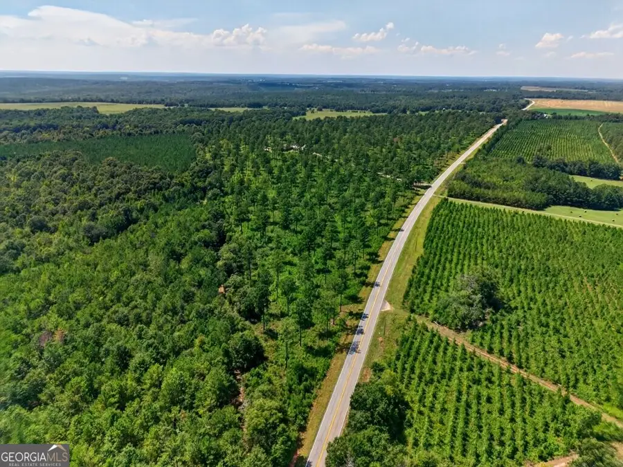 0 Hwy 30 #TRACT C, Buena Vista, GA 31803 - #2