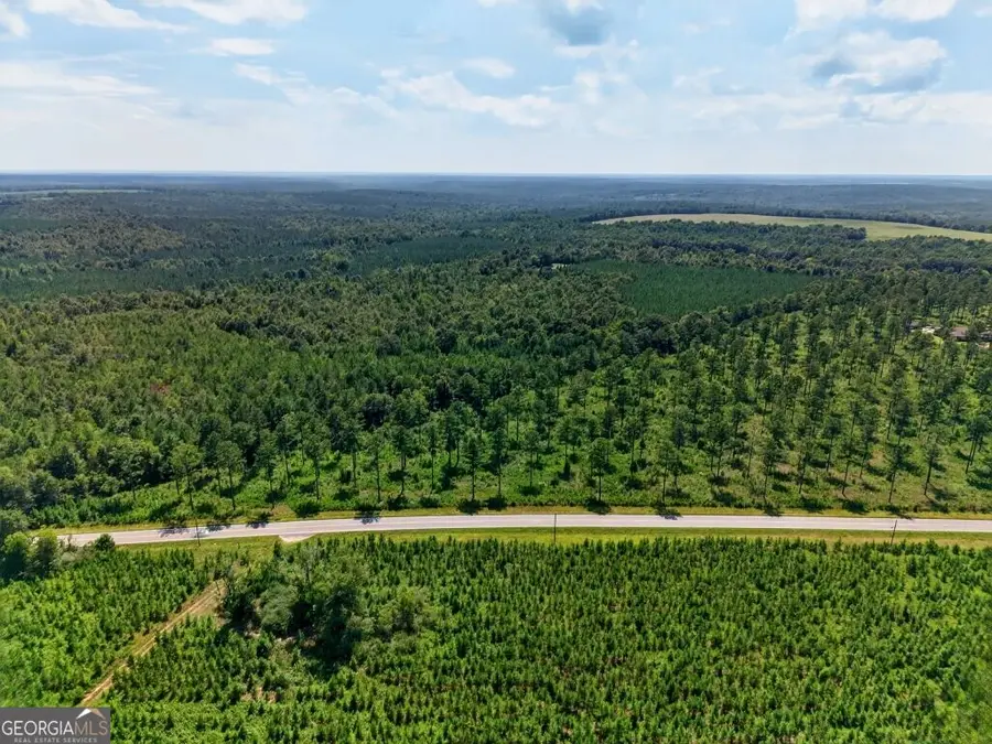 0 Hwy 30 #TRACT C, Buena Vista, GA 31803 - #3