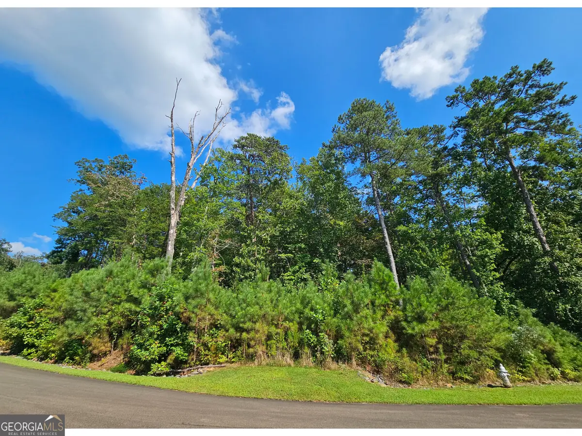 LOT 241 Carters View Lane, Ellijay, GA 30540 - #1