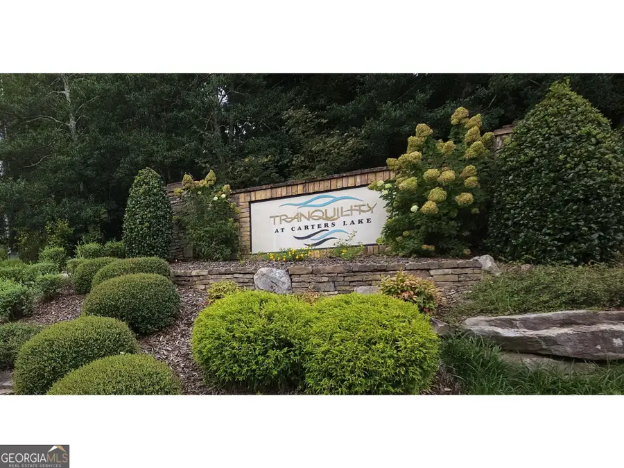 LOT 241 Carters View Lane, Ellijay, GA 30540 - #3
