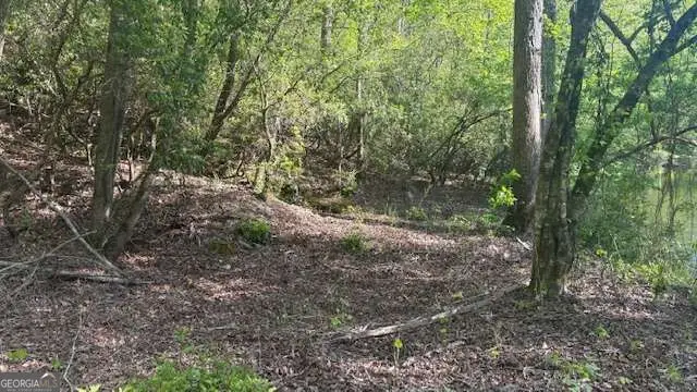 01 Highway 136 W, Talking Rock, GA 30175 - #3