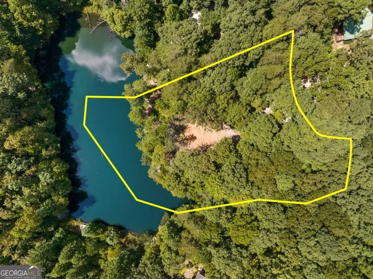 LT 44&45 Overlook Drive, Cherry Log, GA 30522 - #1