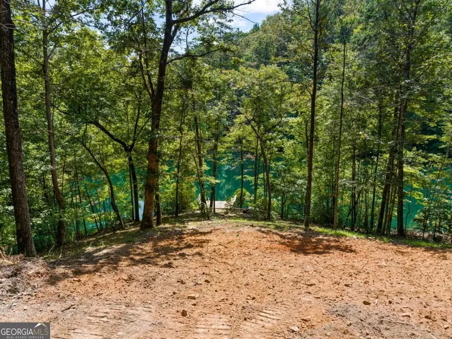 LT 44&45 Overlook Drive, Cherry Log, GA 30522 - #3