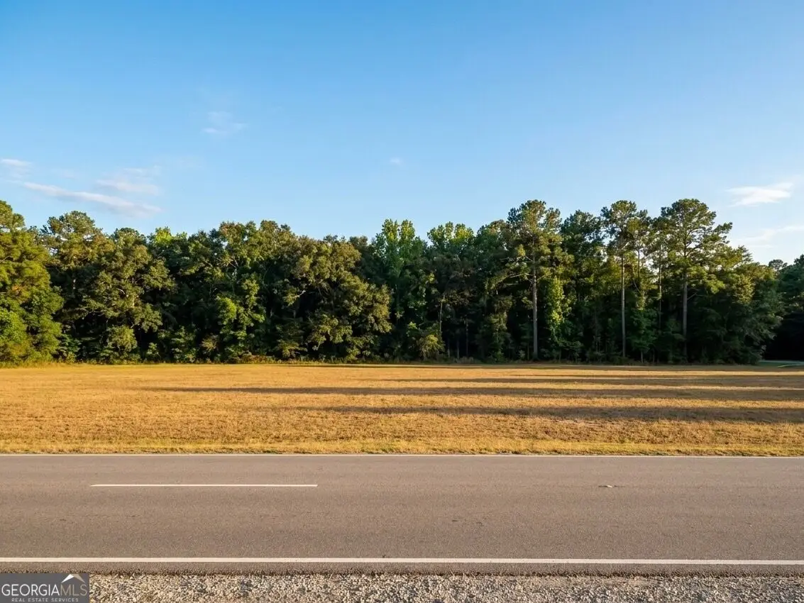 17 N Highway, Awendaw, SC 29429 - #1