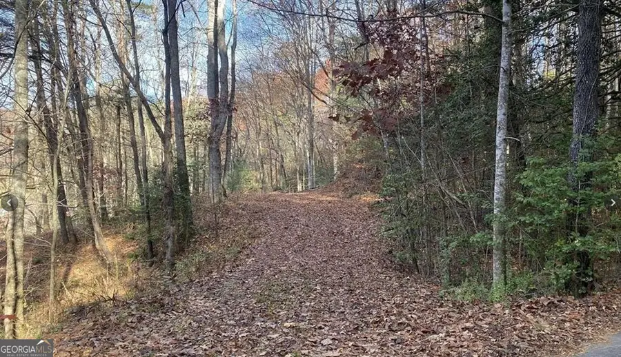 1 Barefoot Hills Road, Hiawassee, GA 30546 - #3