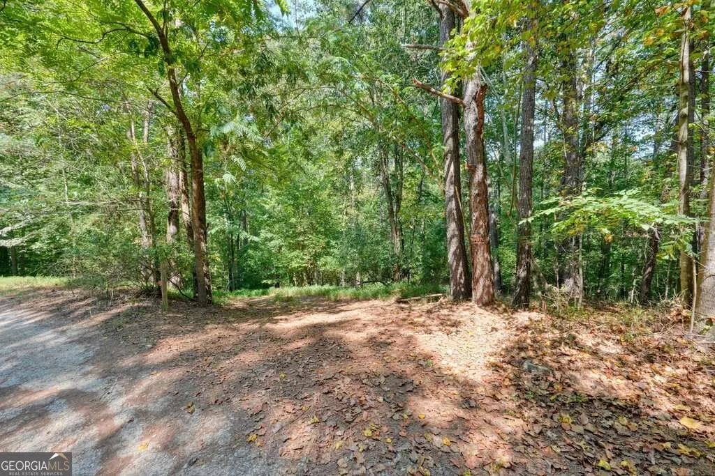 150 Waleska Woods Road, Waleska, GA 30183 - #1