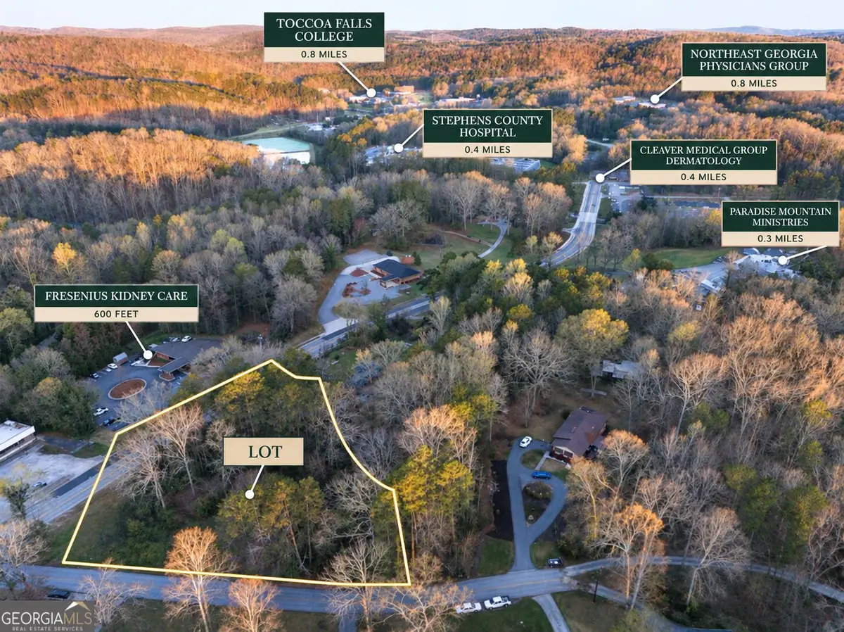 129 Green Forest Drive, Toccoa, GA 30577 - #1