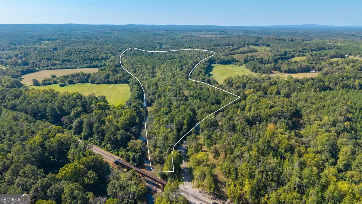 702 Liner Road, Tallapoosa, GA 30176 - #1