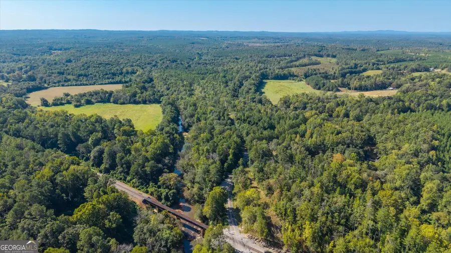 702 Liner Road, Tallapoosa, GA 30176 - #2
