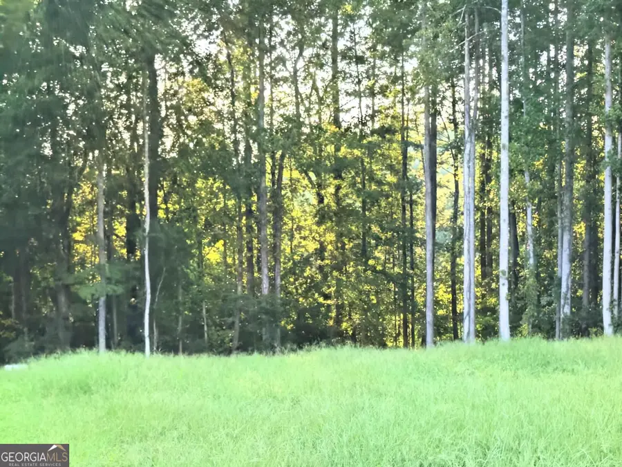 322 N Hicks Rd, Toccoa, GA 30577 - #2