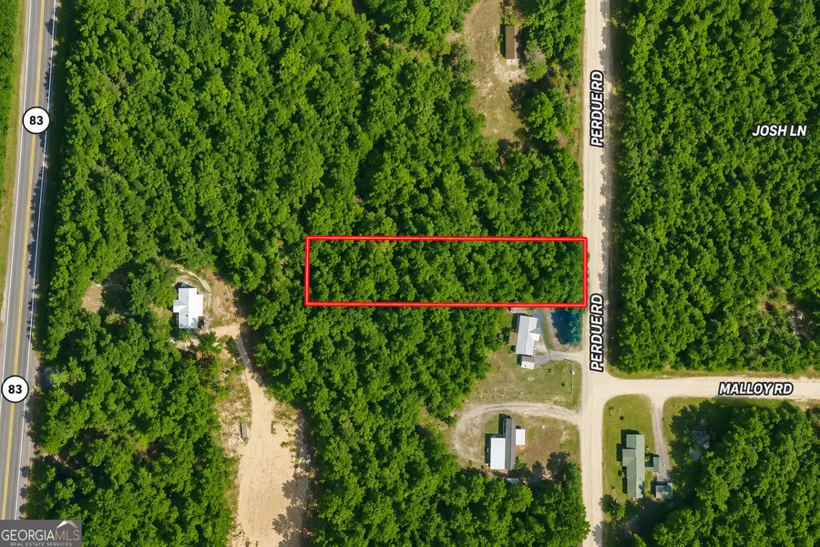 399 Perdue Road, Defuniak Springs, FL 32433 - #2