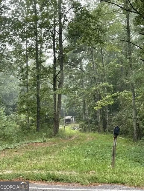 0 Young, Franklin, GA 30217 - #1
