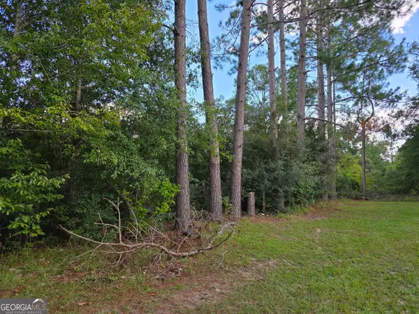 0 Melvin Lane Se, Baxley, GA 31513