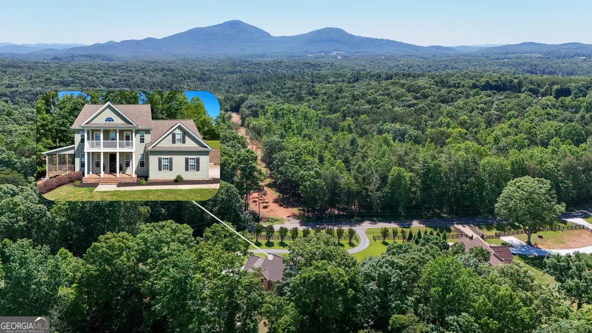 1917 Albert Reid Road, Cleveland, GA 30528 - #1