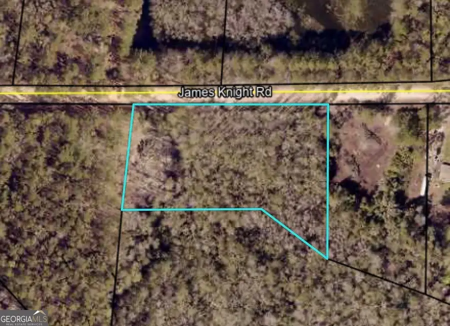 485 James Knight Road, Jesup, GA 31545 - #2