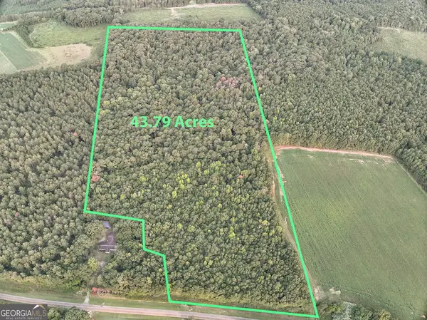 0 Coogle Road, Oglethorpe, GA 31068