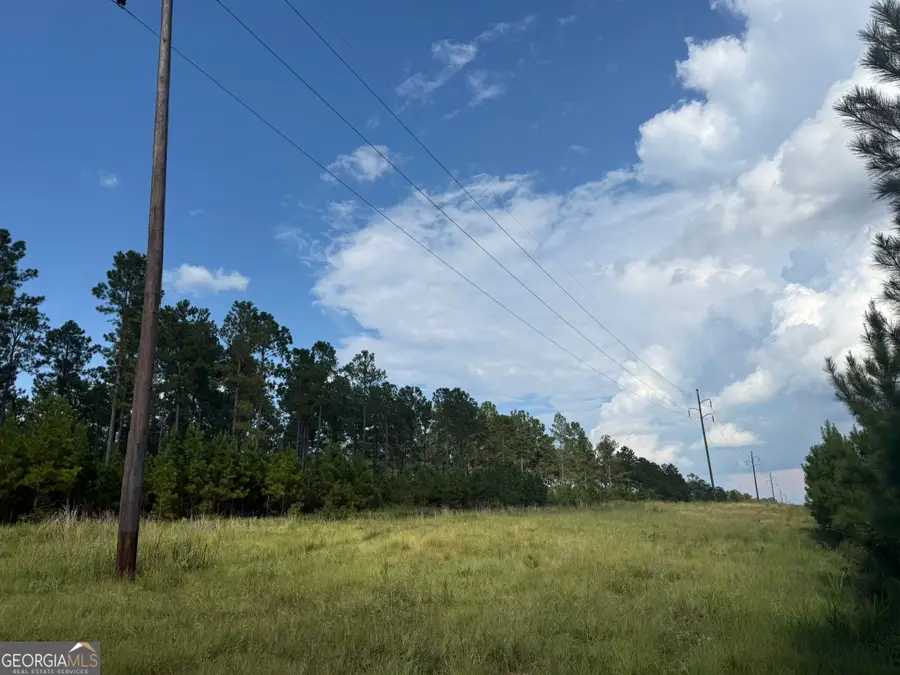 002 George Milling Road, Cuthbert, GA 39840 - #2