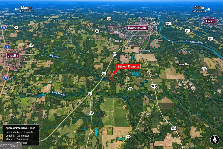 2.4 ACRES Flamingo Estate, Hawkinsville, GA 31036 - #2