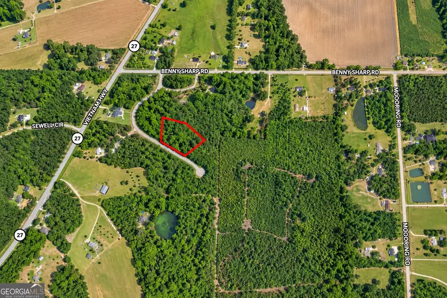 2.4 ACRES Flamingo Estate, Hawkinsville, GA 31036 - #3
