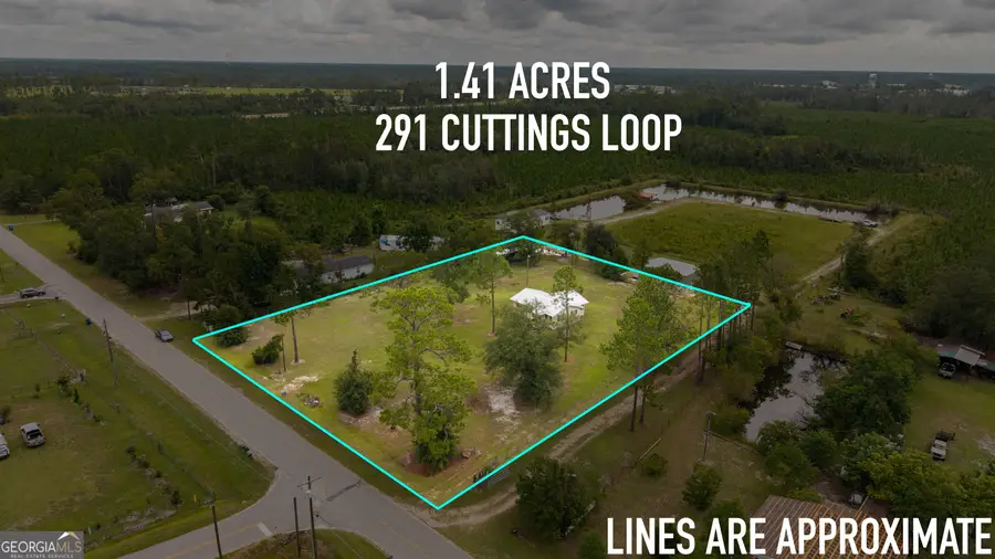 291 Cuttings Loop Road, Homerville, GA 31634 - #3