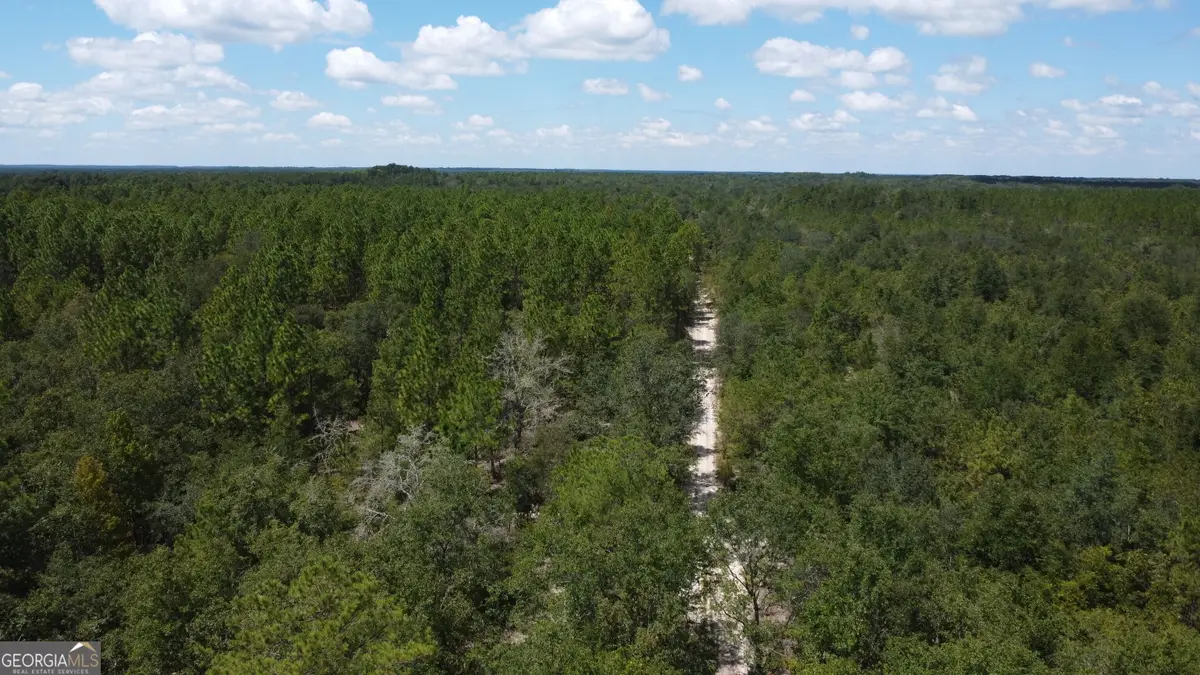 LOT 1 Porter Road, Pembroke, GA 31321 - #1