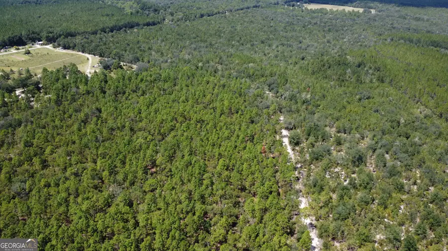 LOT 1 Porter Road, Pembroke, GA 31321 - #3