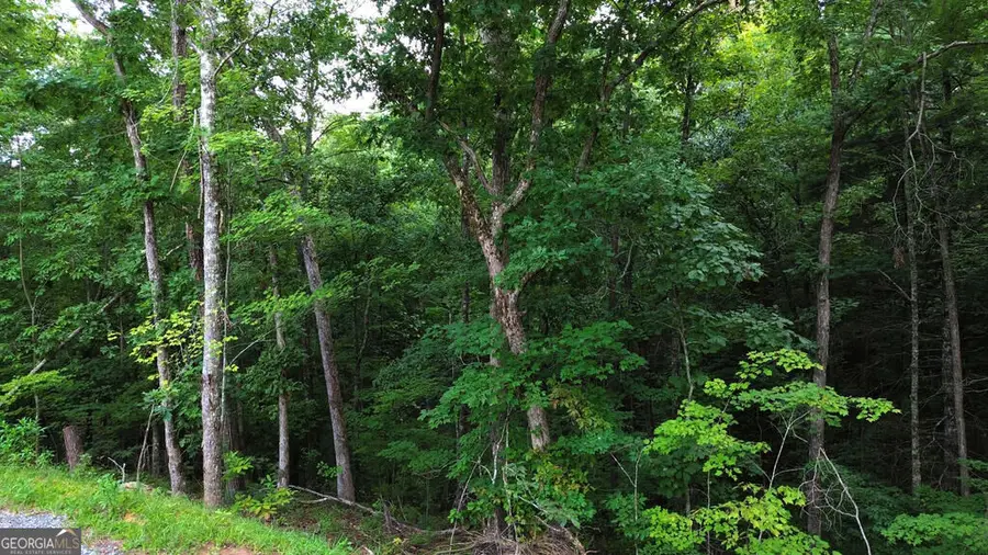 LOT 6 Allaire Lane, Mineral Bluff, GA 30559 - #3