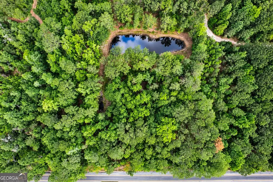 1.5 ACRES Mt Pleasant Road, Clyo, GA 31303 - #2