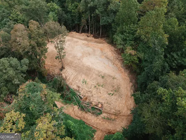 3280 Old Burnt Mountain Road #TRACT 3, Jasper, GA 30143